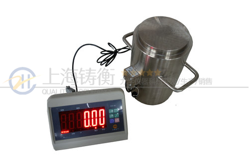 大量程推拉力计图片