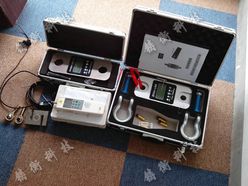 大量程推拉力计图片